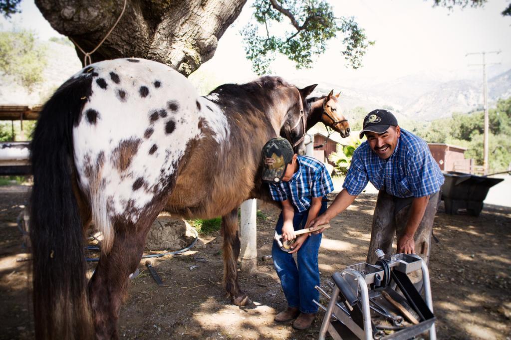 Rancho Oso Cottage 12 Mission Canyon Dış mekan fotoğraf